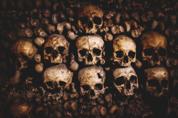 Biglietto d'ingresso diretto alle Catacombe di Parigi e guida