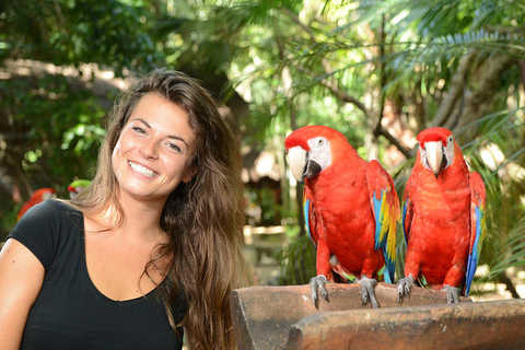 Dalla Riviera Maya: Xcaret Park All Inclusive