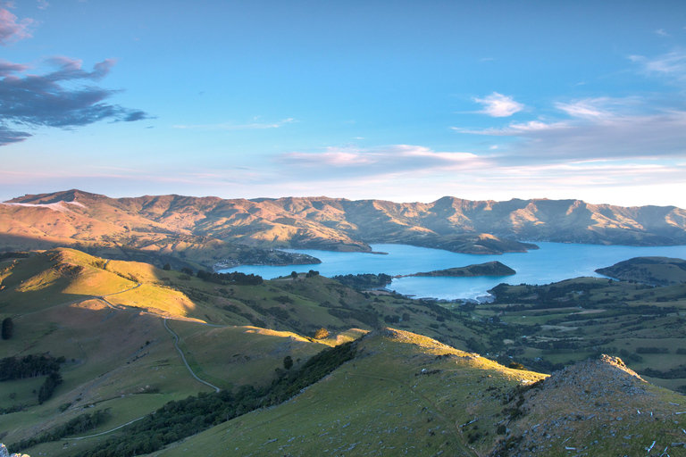 Christchurch: Excursión de un día a Akaroa y la península de Banks