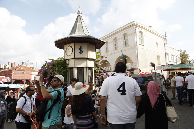 伊斯坦布尔：王子岛私人游船之旅（含午餐）含接客服务的游览（不含午餐）
