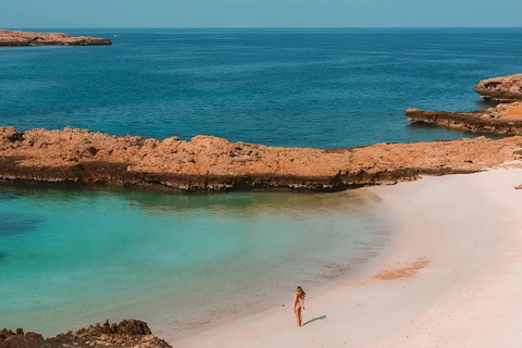 Muscat: Dimaniyat Islands Snorkeling Trip with Hotel Pickup Afternoon Dimaniyat Islands Snorkeling Trip ( Hotel Pickup )