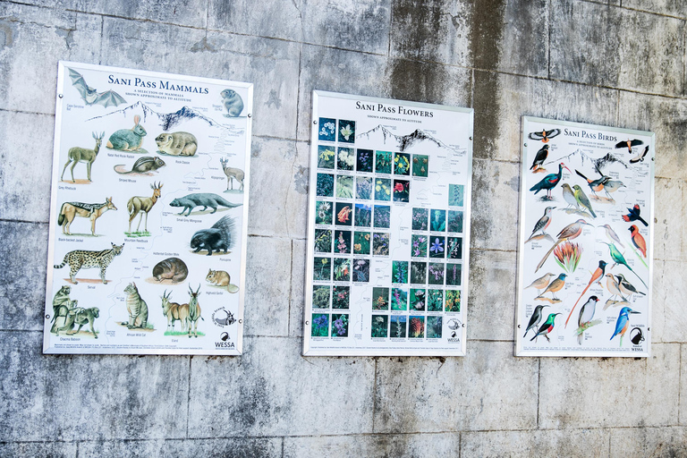 Von Underberg aus: Sani Pass Private Tagestour