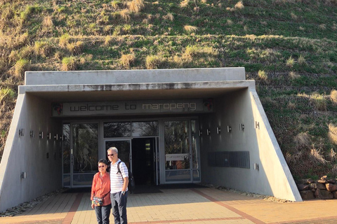 Johannesburg: Cradle Of Humankind & Fossil Discovery Tour