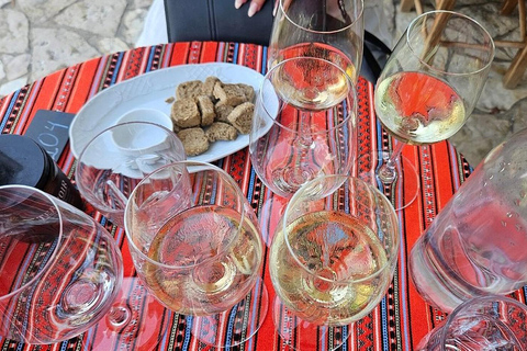 Vatolakkos: Boutique Winery Tour & 5-Wine Tasting
