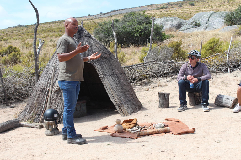 Kaapstad: 5-daagse bloementour langs de westkust