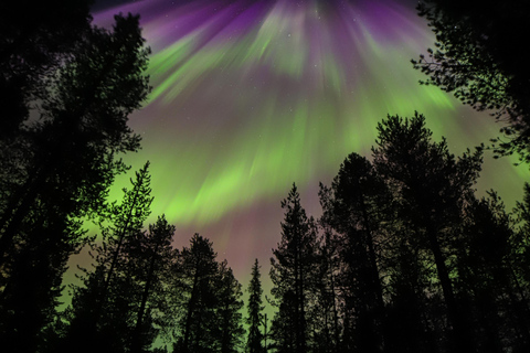 Levi: Aurora Hunting by Car