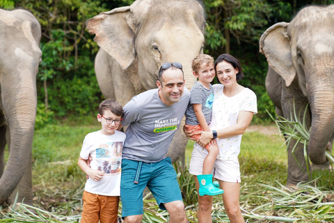 Phuket: Tour a piedi e con alimentazione etica del parco naturale degli elefanti