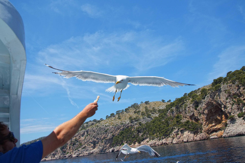 Can Picafort: Boat Trips along Mallorca's North Coast Cap Menorca