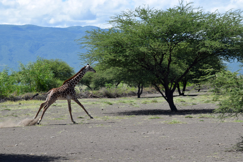 Arusha: Lake Natron Day Trip (Lake Walk &amp; Waterfall Hike)