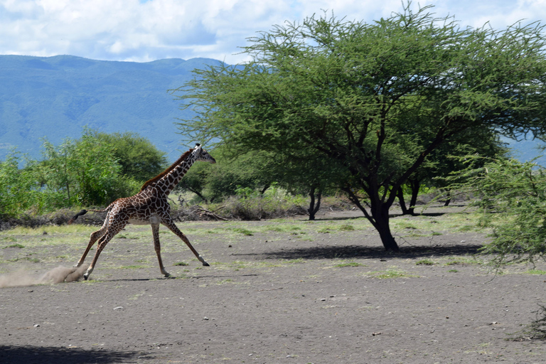 Arusha: Lake Natron Day Trip (Lake Walk &amp; Waterfall Hike)