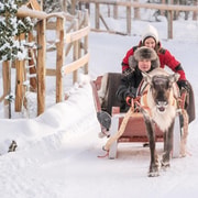 Rovaniemi : safari avec des rennes, balade en traîneau et patrimoine sami