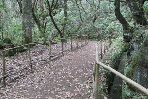 Queimadas Caldeirao Verde Całodniowa wycieczka