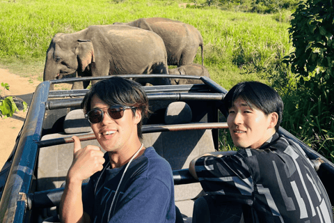 From Near Sigiriya: Kaudulla National Park Safari Tour Half Day Safari Tour
