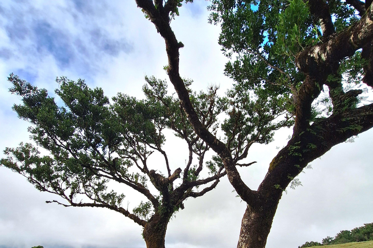 From Funchal: Private Full Day West Tour