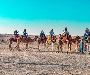 Marrakech: Agafay Desert Quad Bike & Camel Ride with Dinner