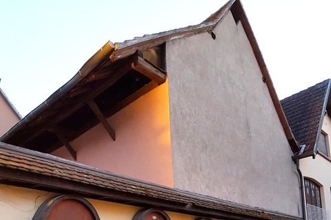 Alsace Villages and Colmar with Wine Tastings