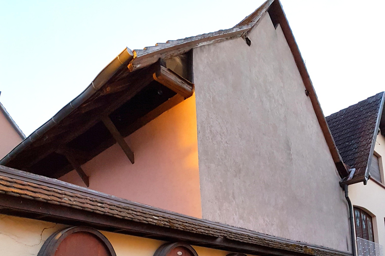 Alsace Villages and Colmar with Wine Tastings