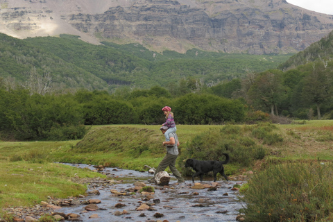 San Martín de los Andes: Half-Day Tour to the Mallin Grande