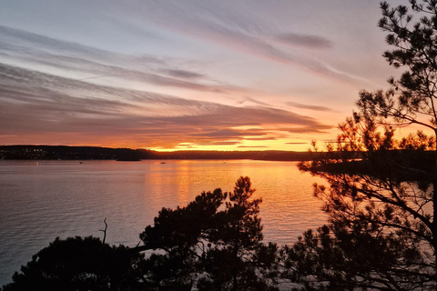 Oslo Fjord: Malmøya tour with Reindeer, Moose &Whale Sausage