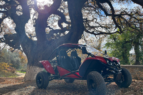 Hersonissos: Buggy Safari Adventure Tour Hersonissos: Buggy Safari Adventure with Transfer
