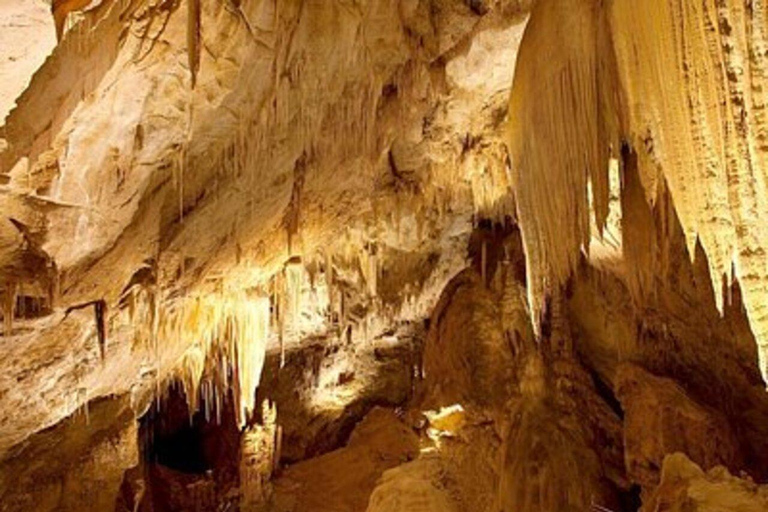 Hobart: Tahune Airwalk and Hastings Caves Day Trip