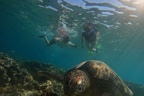 Lombok : Private Snorkeling 4 Spots And See Baby Turtle