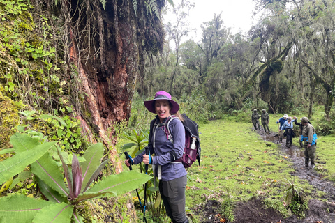 4-Day Rwanda golden monkey and Culture Safari 4-Day Rwanda golden monkey and Culture Safaris