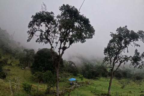Bogotá: Private La Chorrera Waterfall Hike with Lunch