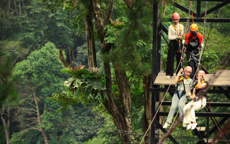 Chiang Mai Pongyang Jungle Coaster And Zipline Getyourguide 8157