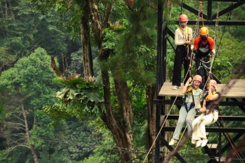 Chiang Mai : Pongyang Jungle Coaster & ZiplineForfait A avec transfert