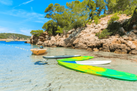 Ibiza: Land & Sea (Buggy+Paddle Surf)