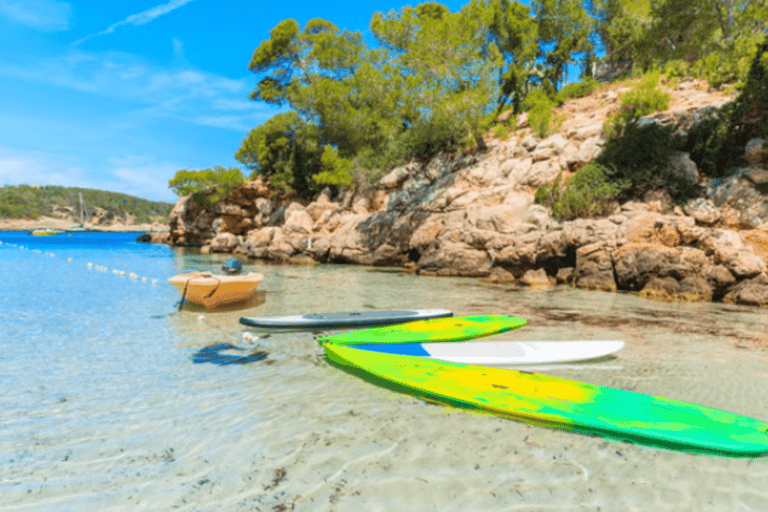 Ibiza: Land & Sea (Buggy+Paddle Surf)