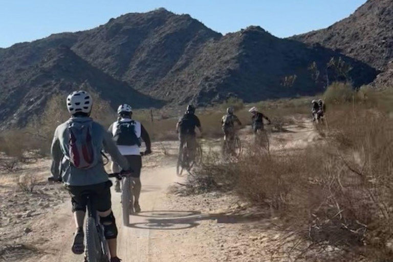 South Mountain: F/S MTB- und E-MTB-Verleih, geführte TourenSouth Mountain: MTB- und E-MTB-Verleih, geführte Touren im Frühling und Herbst