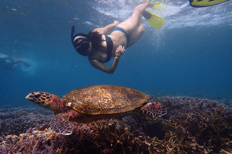 Trincomalee: Private Pigeon Island Snorkeling Tour