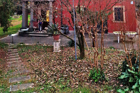 Modena: Organic & Traditional Balsamic Vinegar Tour with EVO Oil Tasting