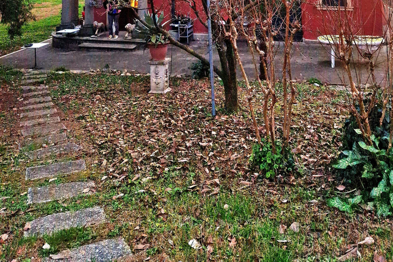 Modena: Organic & Traditional Balsamic Vinegar Tour with EVO Oil Tasting