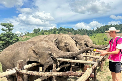 Chiang Mai: Elephant Observation & Wang River Bamboo Rafting