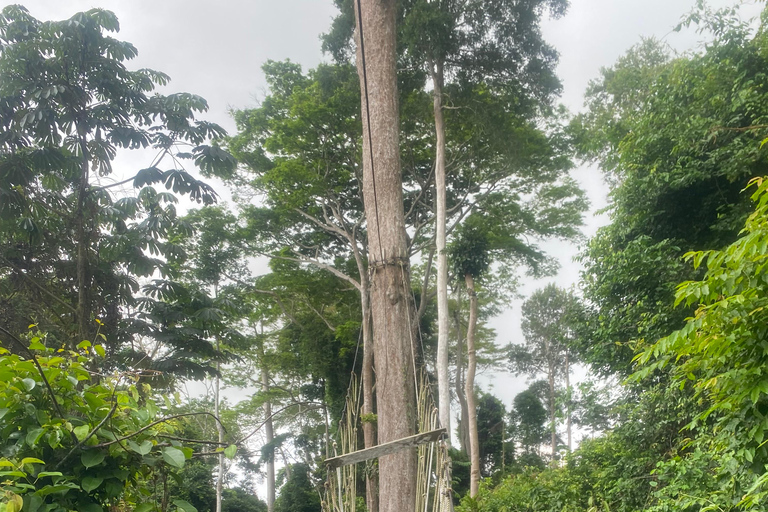 Kakum National Park & Elimina & Cape Coast Castle Day Tour