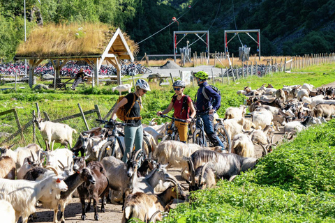 Excursión privada de un día - Ferrocarril de Flam y crucero por los fiordos desde Bergen