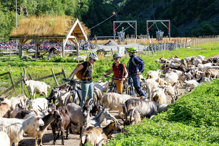 Excursión privada de un día - Ferrocarril de Flam y crucero por los fiordos desde Bergen