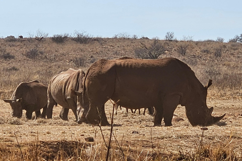 Nashorn- und Löwenpark (Safari) und Wiege (Maropeng Museum)Private Tour