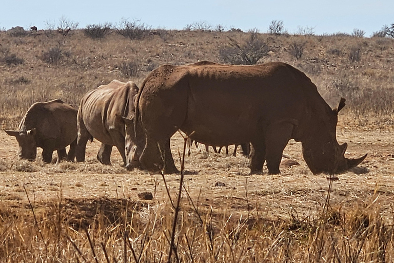 Nashorn- und Löwenpark (Safari) und Wiege (Maropeng Museum)Private Tour