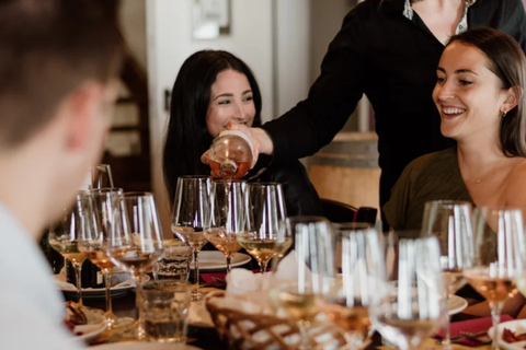 Etna + Wine Tasting Experience in a Winery and Lunch included Etna + Wine Tasting Experience in a Winery with Lunch included