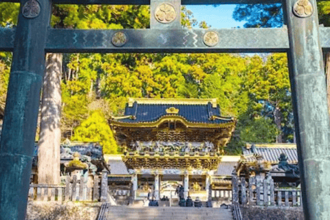 Tokyo: Nikko Unesco Heritage Private Day Tour & Hotel Pickup