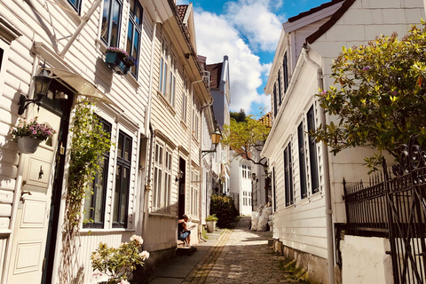 Bergen: Private Shore Excursion, Best of Bergen