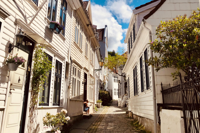 Bergen: Private Shore Excursion, Best of Bergen