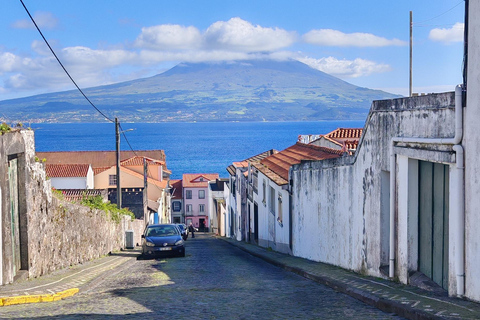 Horta, Faial, Azoren: Wanderungen und Touren mit einem lokalen GuideHorta, Faial, Azoren: Wanderungen und Touren mit lokalem Guide