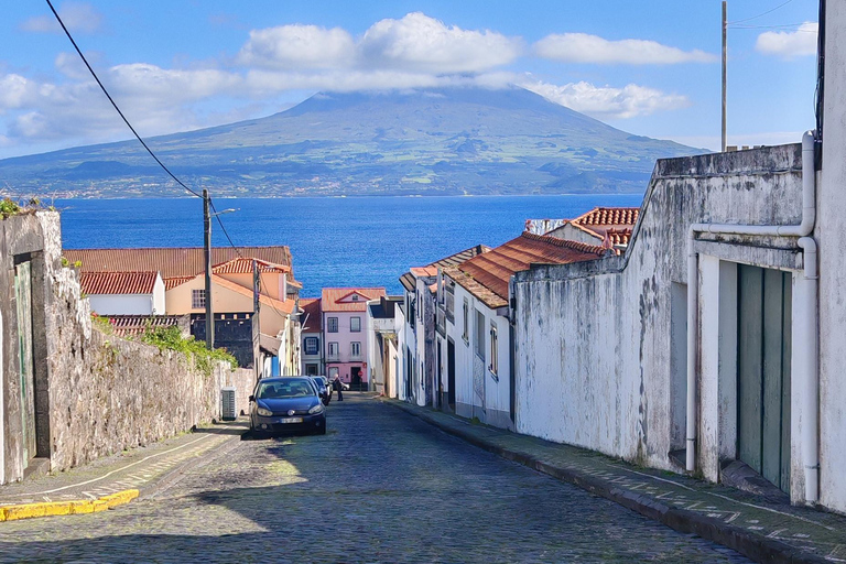 Horta, Faial, Azoren: Wanderungen und Touren mit einem lokalen GuideHorta, Faial, Azoren: Wanderungen und Touren mit lokalem Guide