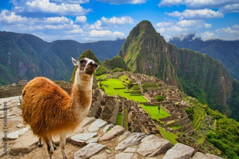 Z Cusco: Tour Machu Picchu Exclusivo 2024