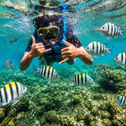 Yogyakarta: Nglambor Underwater Photo and Fresh Lobster
